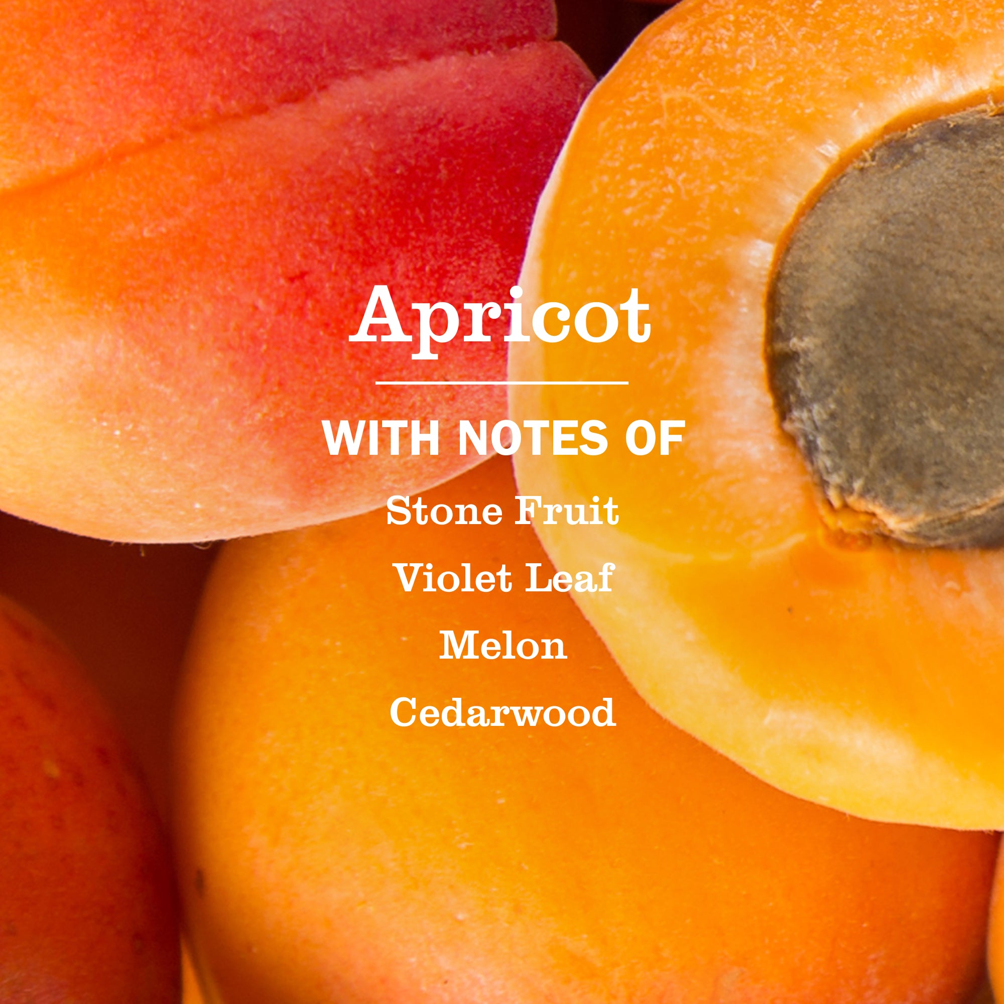 Apricot Liquid Hand Soap - Image 3