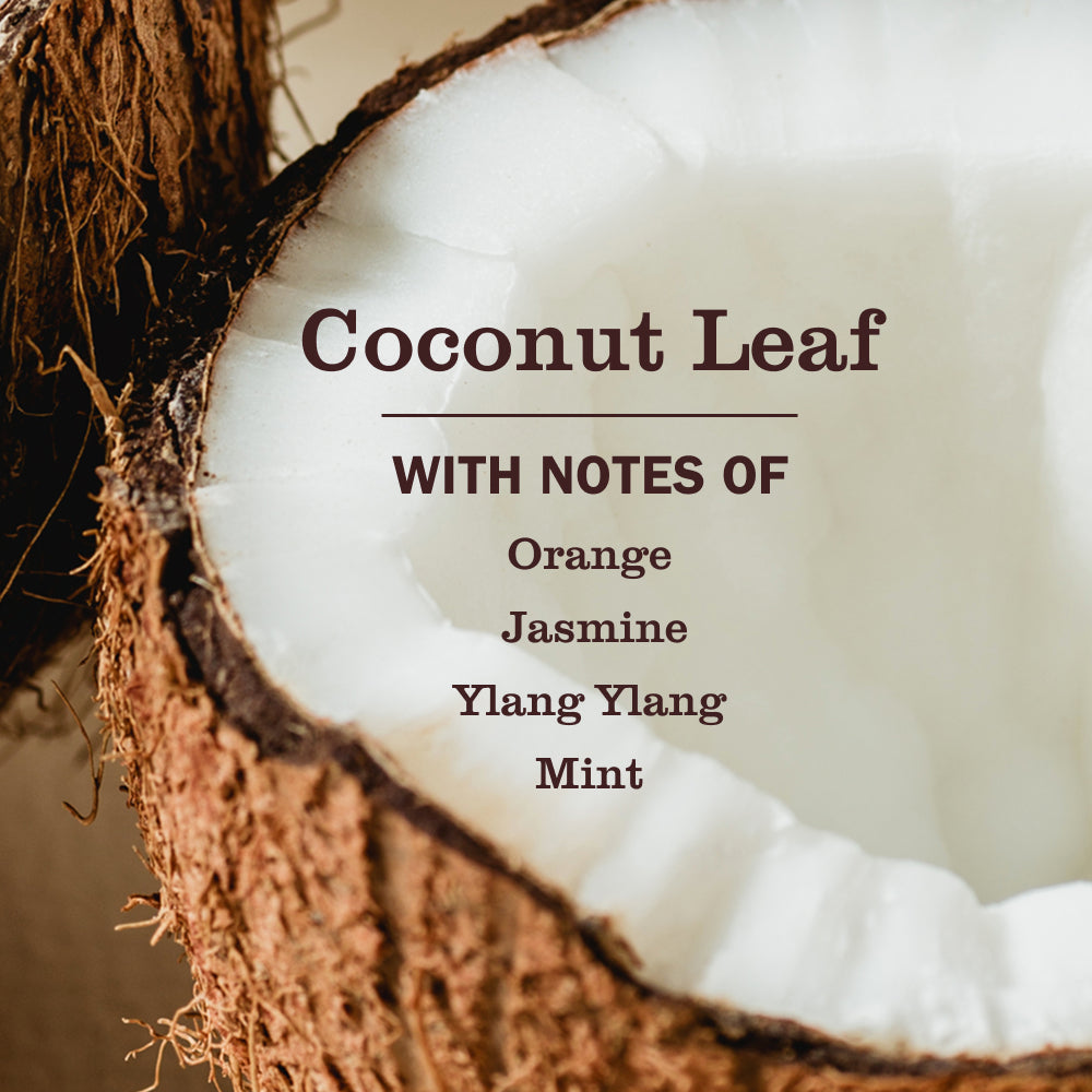 Coconut Leaf Pet Odor Neutralizer - Image 3