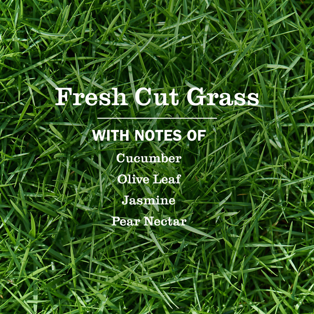 Fresh Cut Grass Plug in Scented Oil Warmer With Refill - Image 3