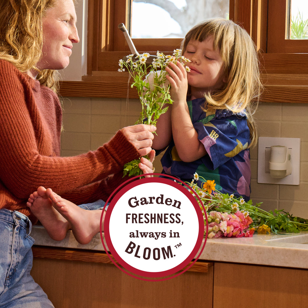 Dandelion Plug In Scented Oil Refill. 2-Pack - Image 9