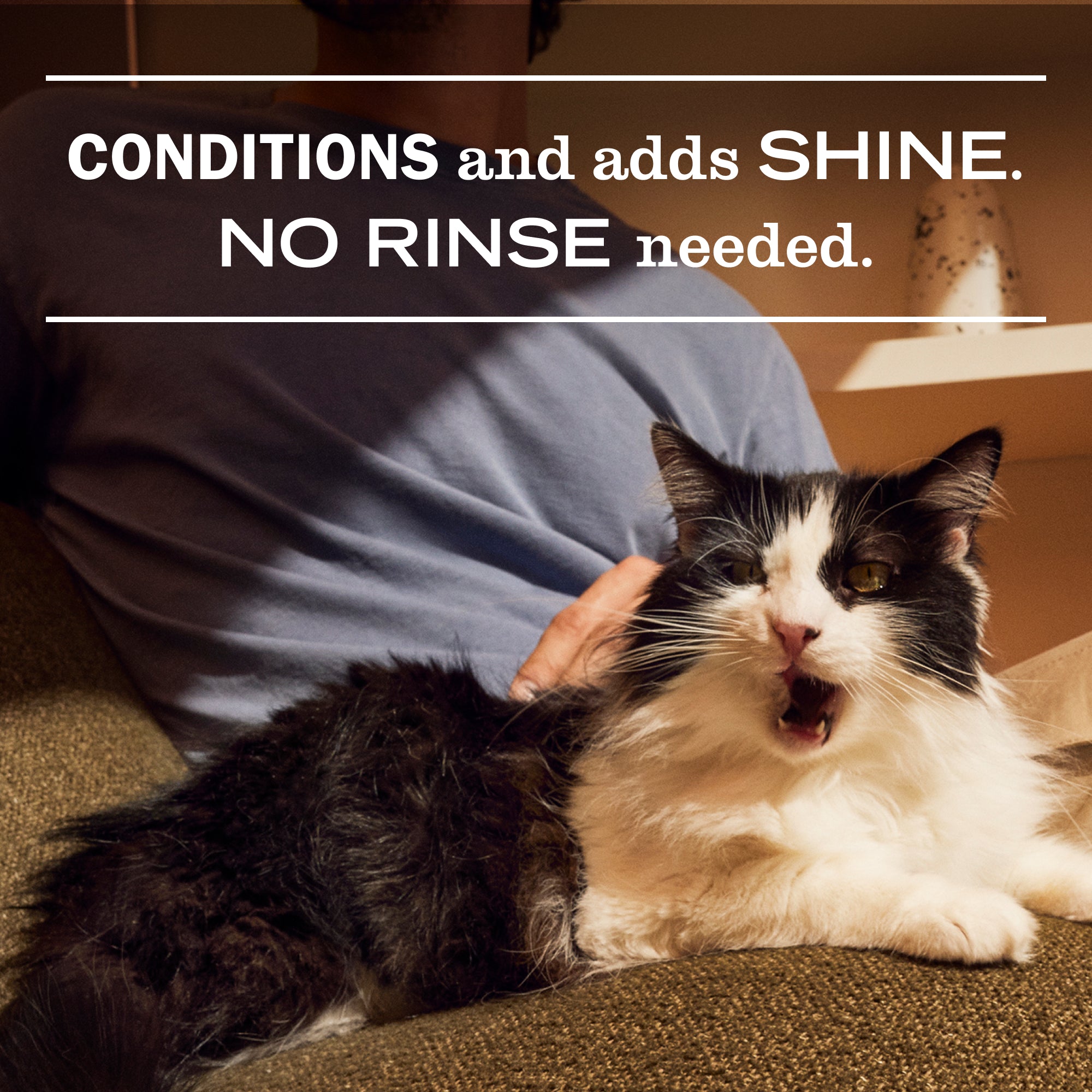 Sweet Chamomile Cat Deodorizing Spritz - Image 4