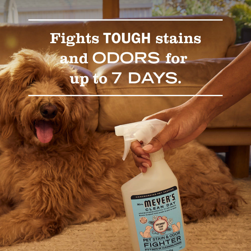 Dog Care Set - Image 8