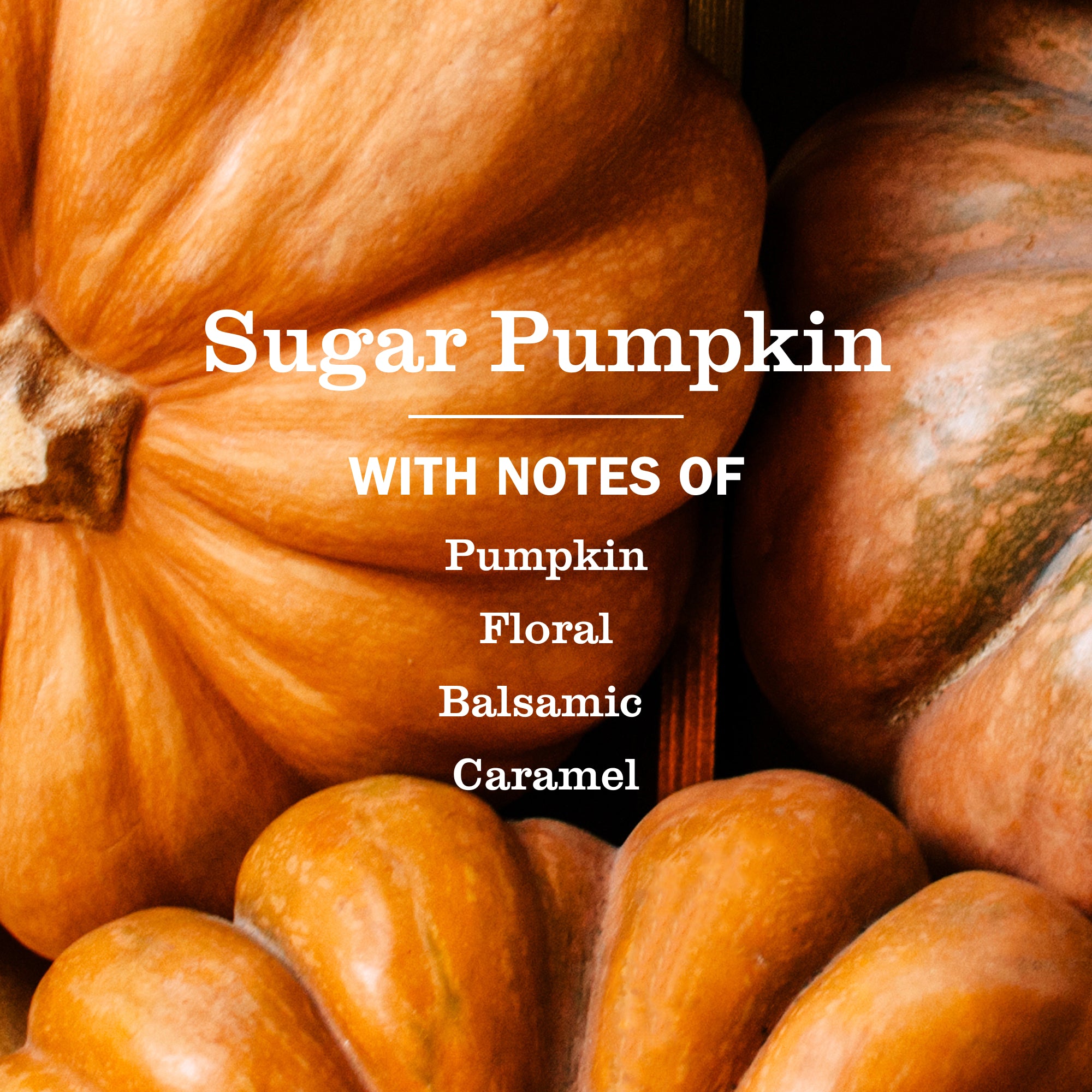 Sugar Pumpkin Multi-Surface Everyday Cleaner 3-count Bundle - Image 3