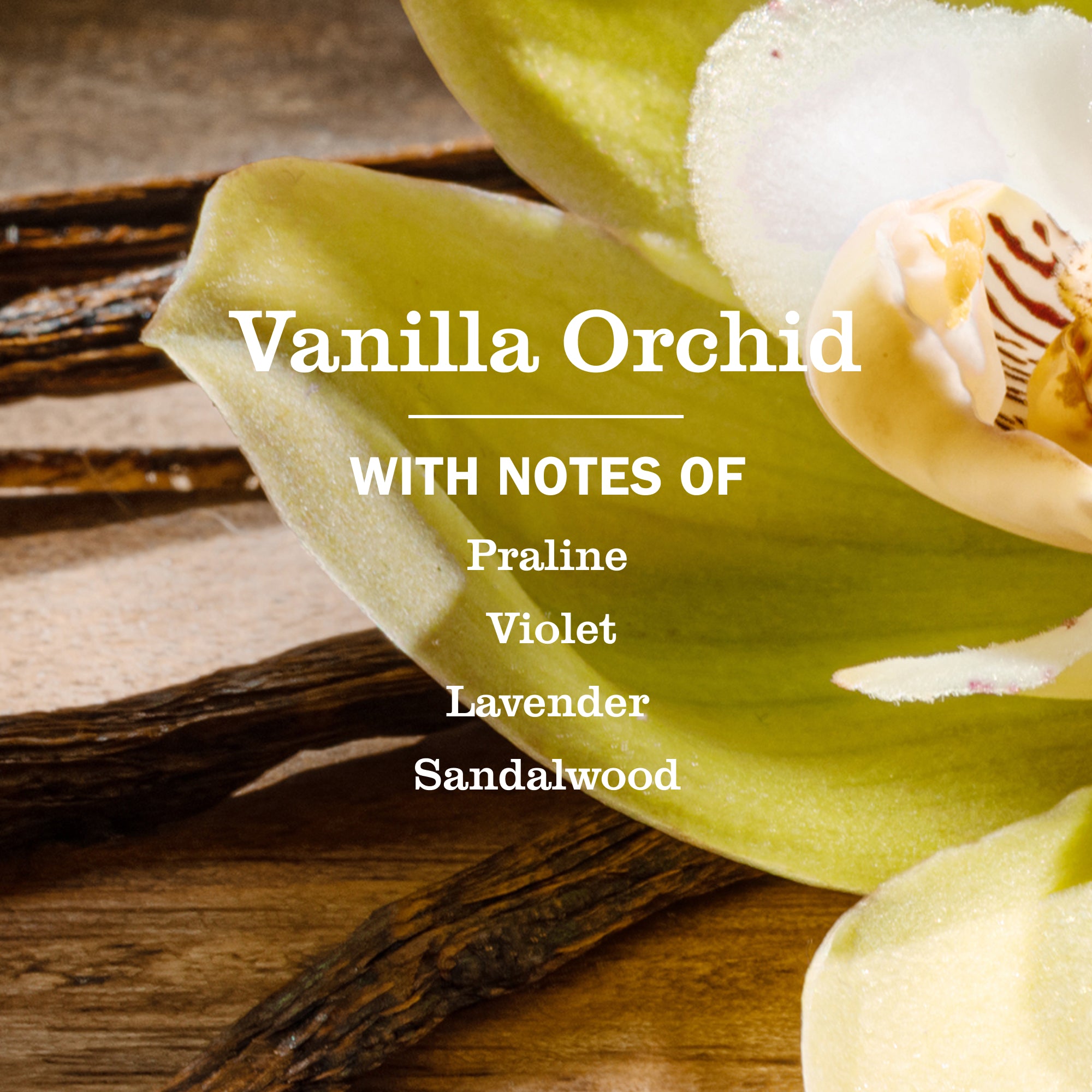 Vanilla Orchid Liquid Hand Soap - Image 3