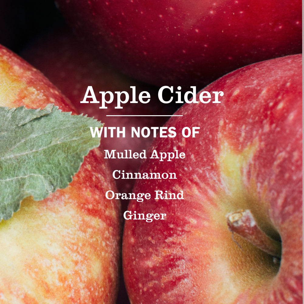 Apple Cider Liquid Hand Soap 3-count Bundle - Image 4
