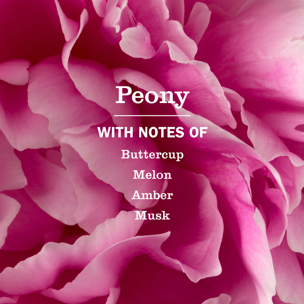 Peony Multi-Surface Concentrate - Image 4