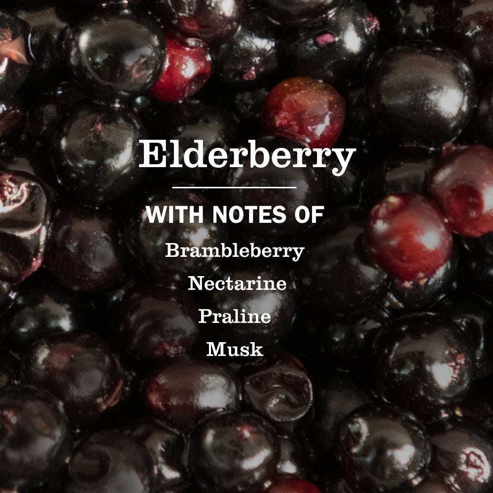 Elderberry Dish Soap 3-count Bundle - Image 4
