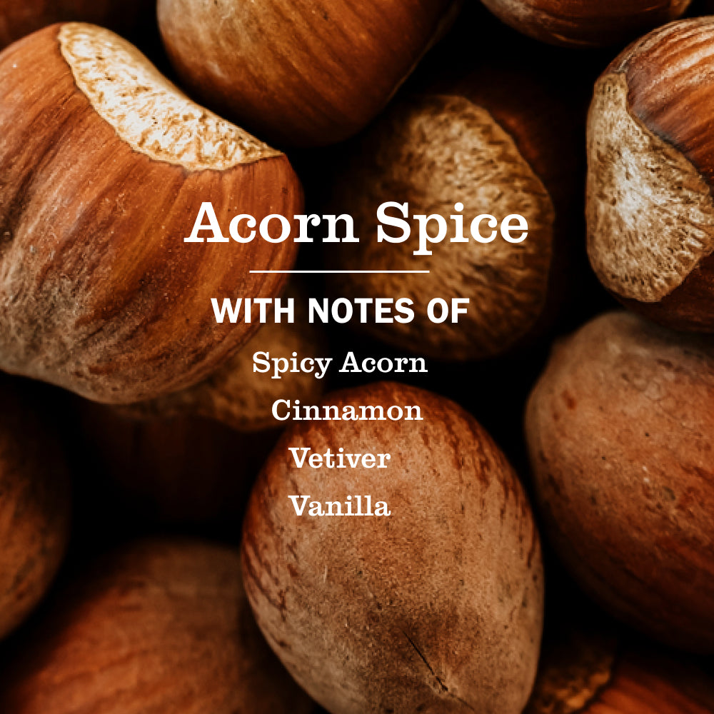Acorn Spice Dish Soap - Image 4