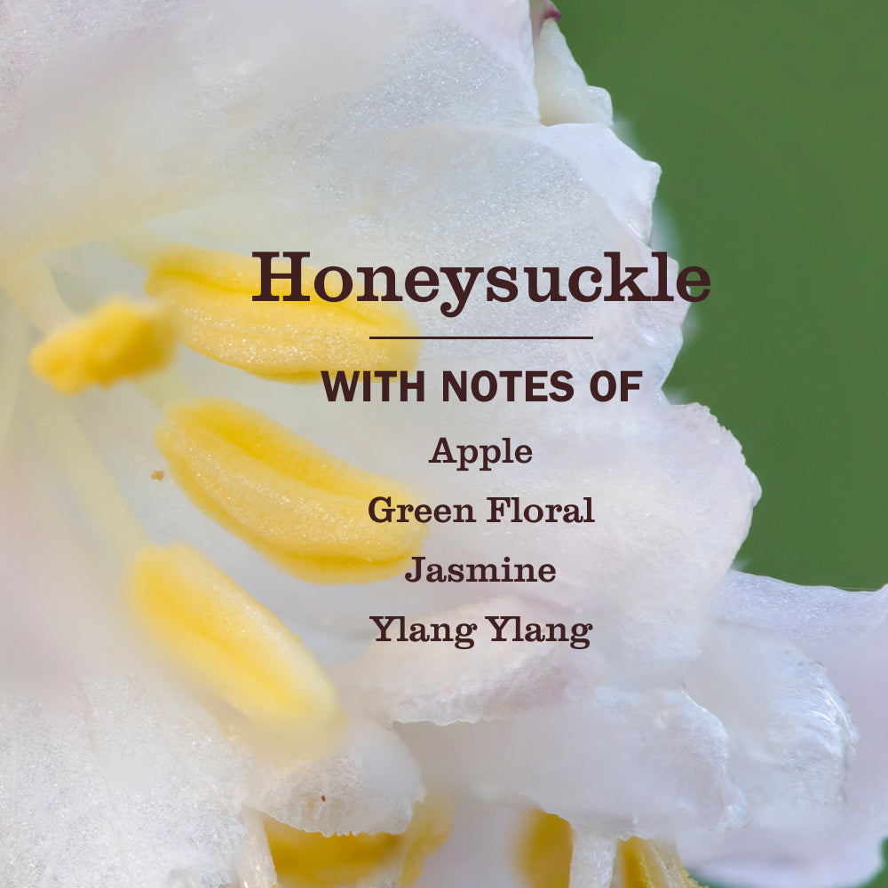Honeysuckle Liquid Hand Soap Refill - Image 4