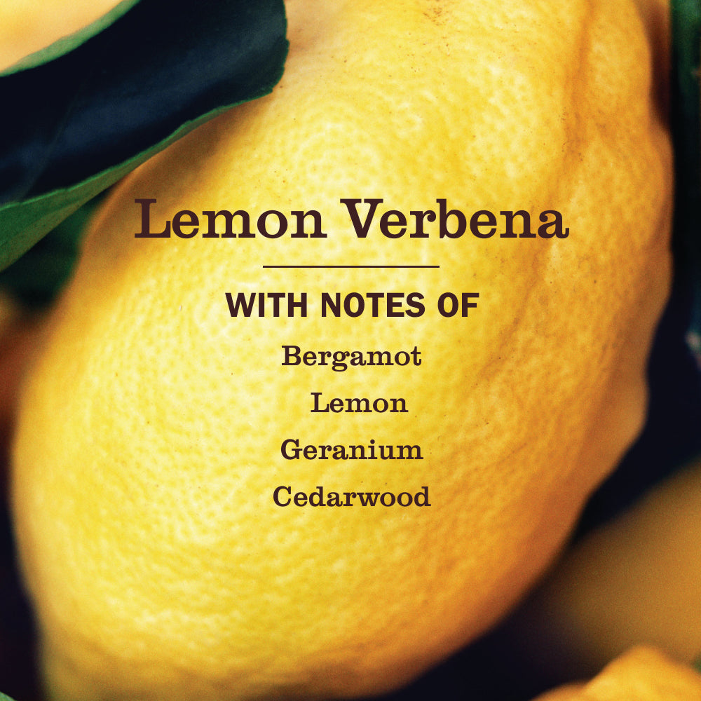 Lemon Verbena Dish Soap Refill - Image 4