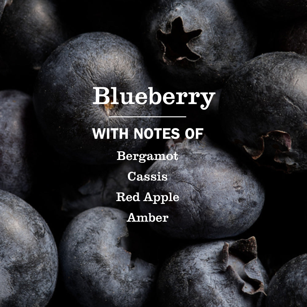 Blueberry Liquid Hand Soap - Image 4