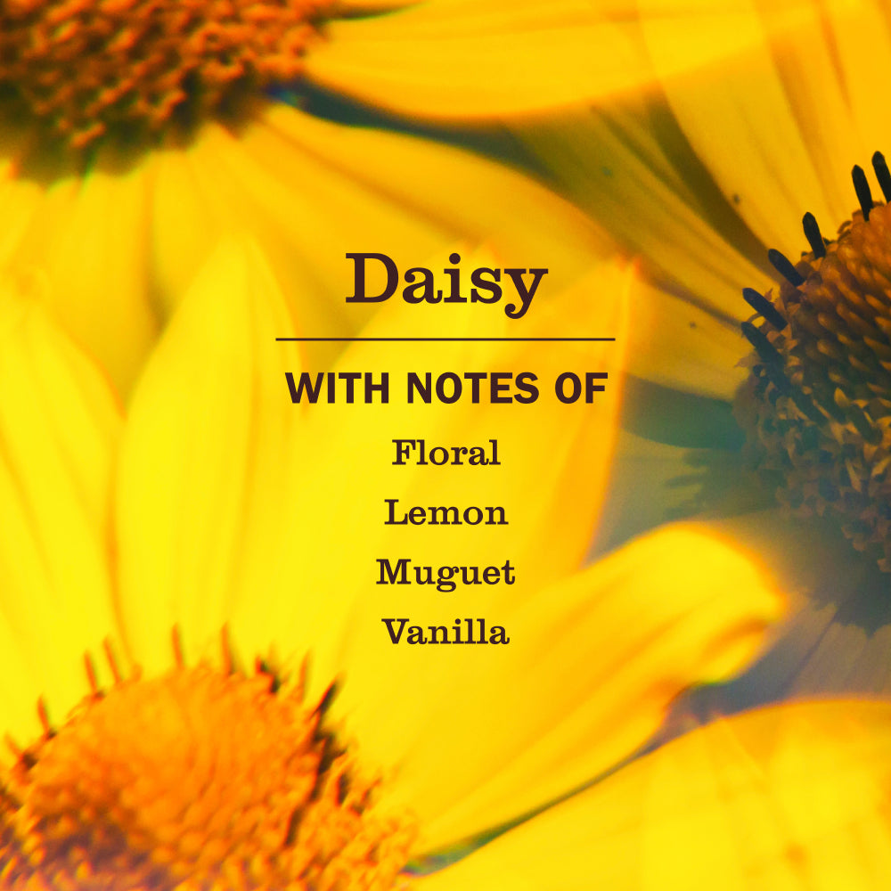 Daisy Liquid Hand Soap - Image 4