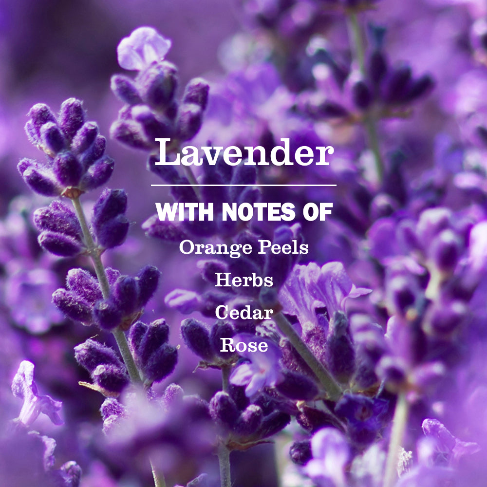 Lavender Kitchen Basics Set - Image 4
