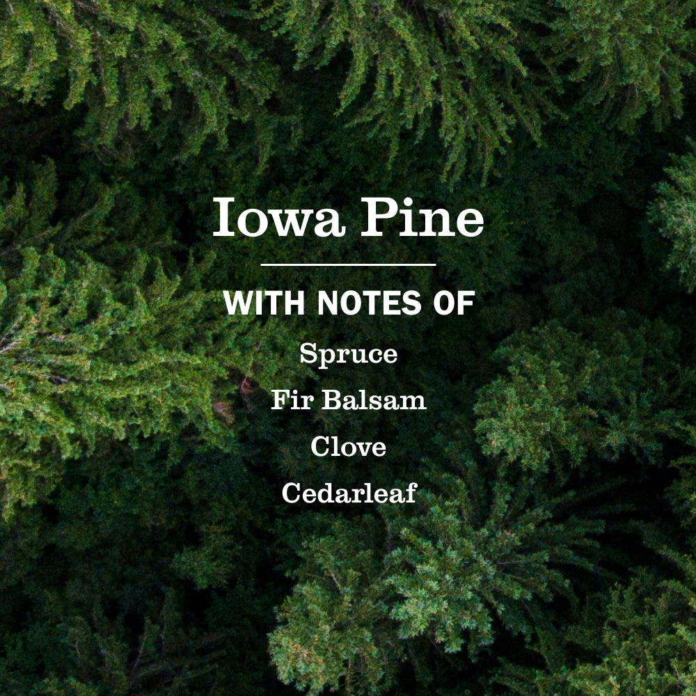 Iowa Pine Liquid Hand Soap - Image 4
