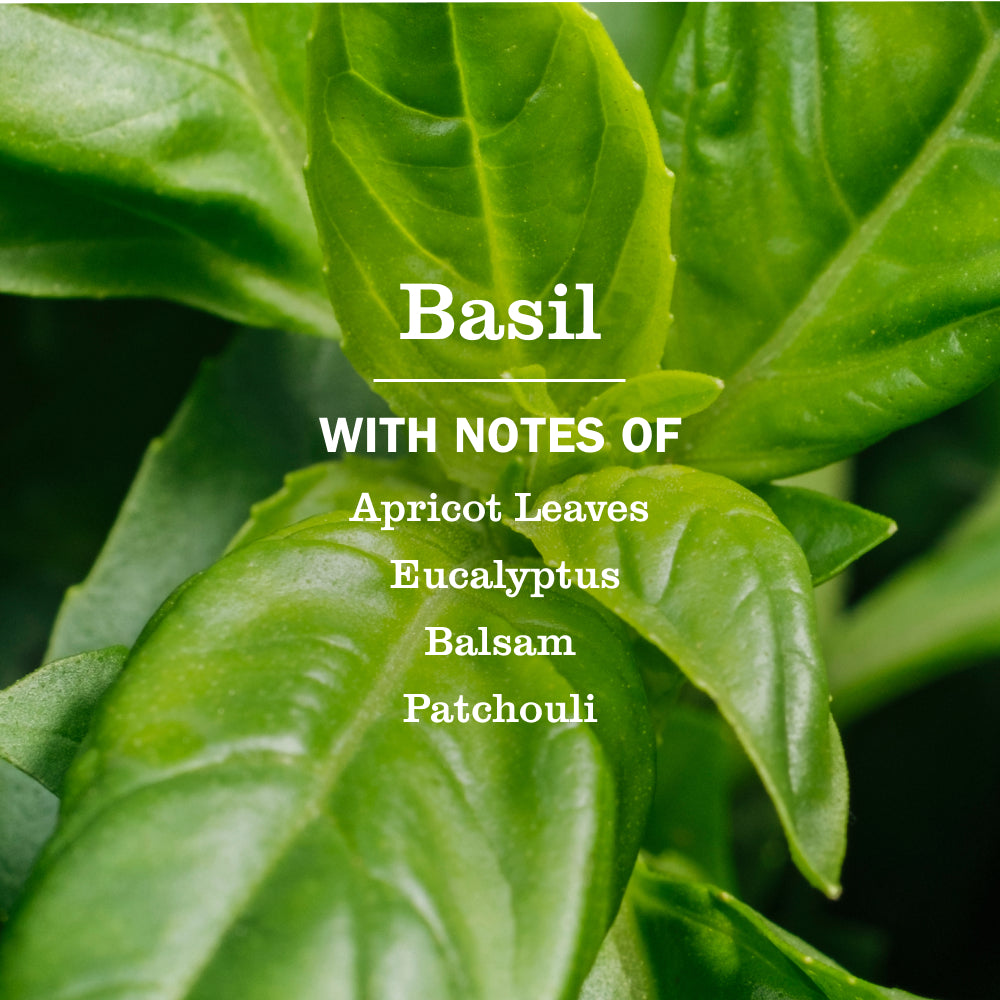 Basil Fabric Softener - Image 3