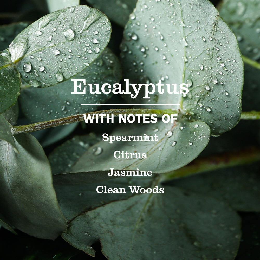 Eucalyptus Liquid Hand Soap - Image 4