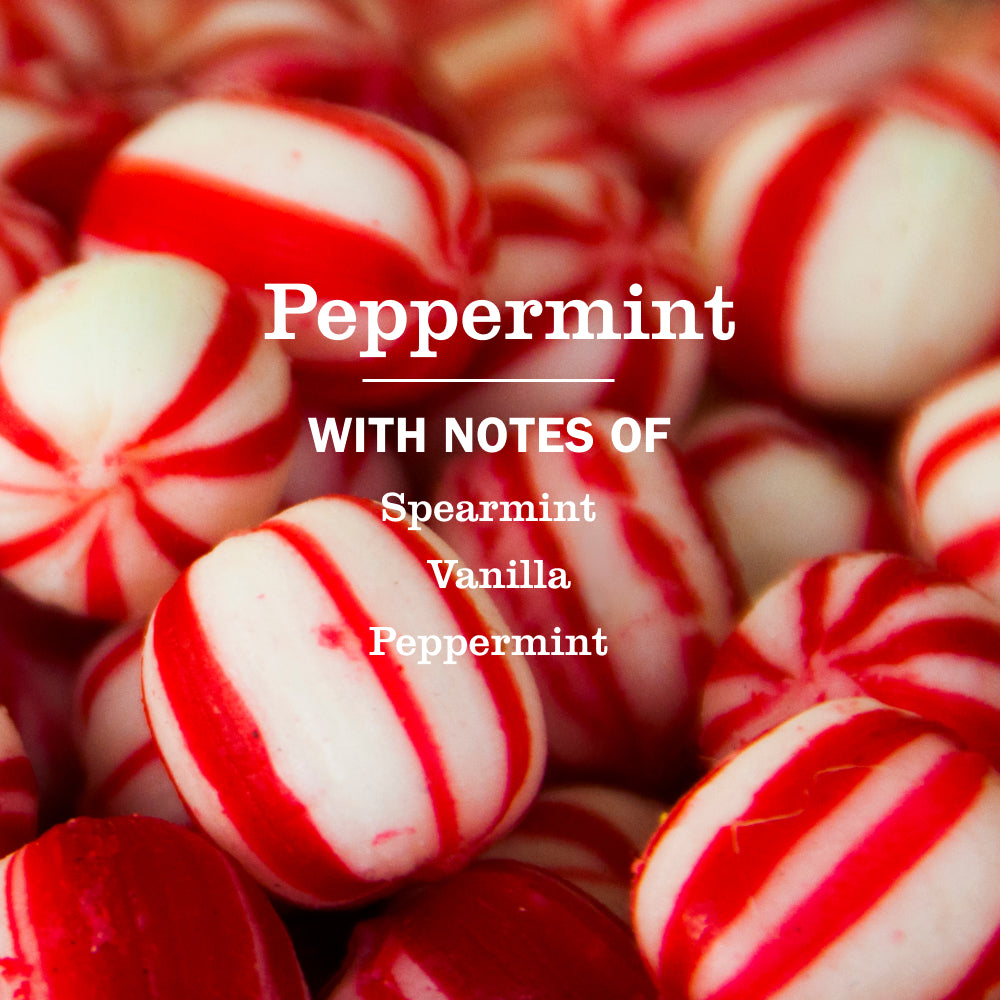 Peppermint Kitchen Basics Set - Image 2
