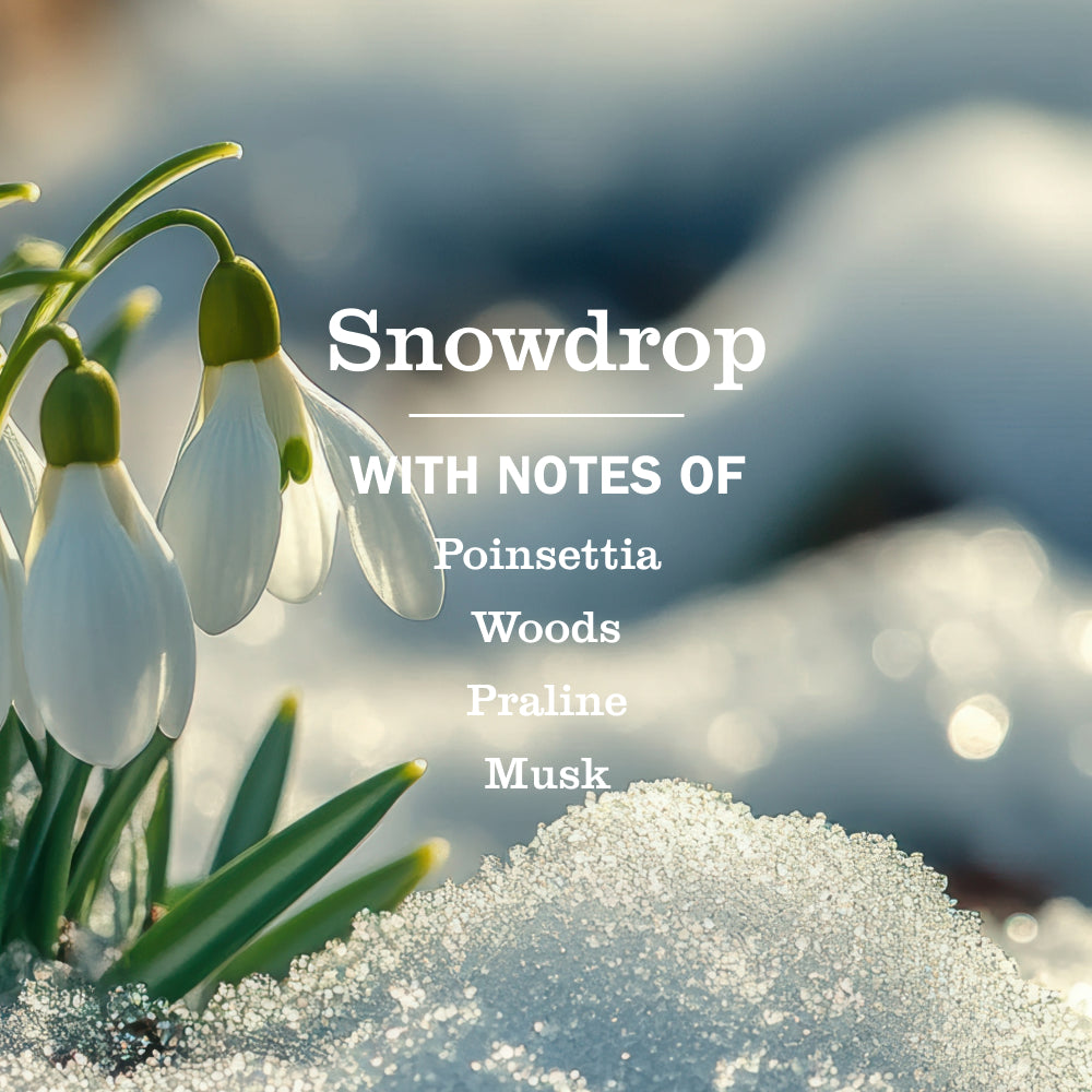 Snowdrop Hand Lotion - Image 4