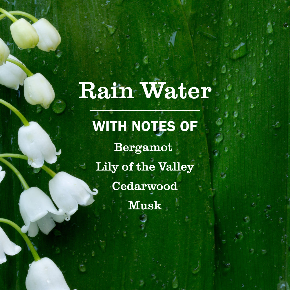 Rain Water Foaming Hand Soap - Image 4